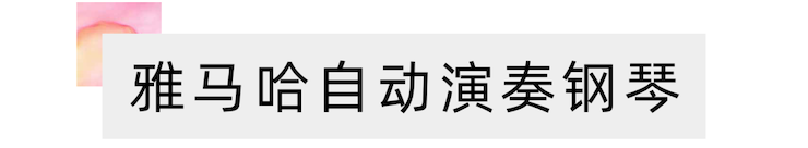 活动报道 | 远程艺术教育大师课活动—环球360艺术家赵宇大师课