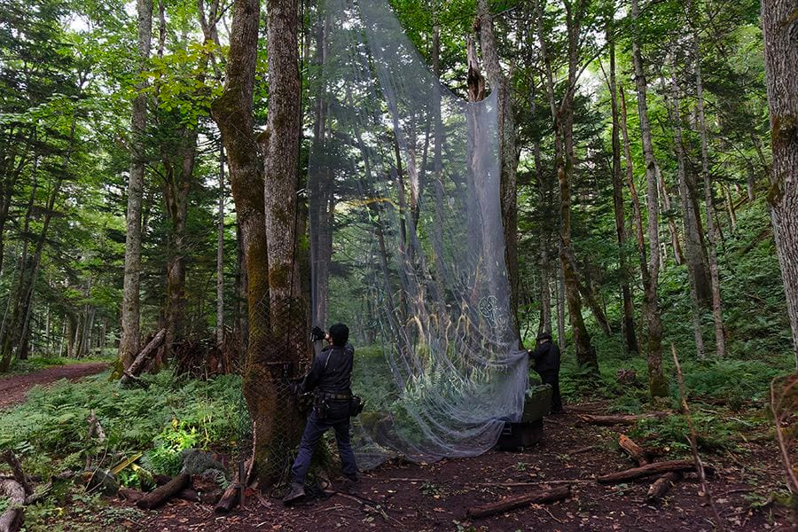 案例｜环球360为壮观的Kamuy Lumina魔法夜行旅游项目提供配乐设备